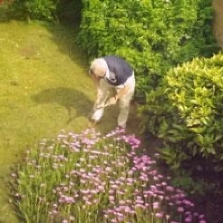 Austria si Marea Britanie accepta lucratori romani