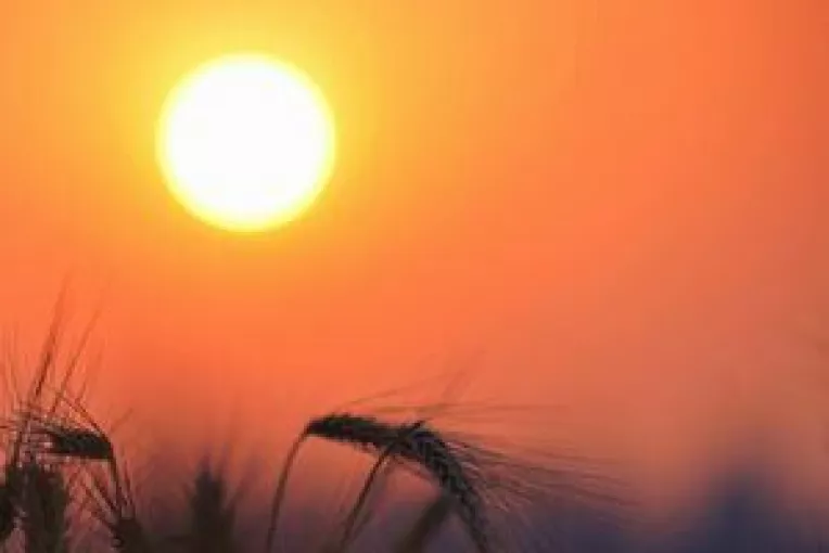 Canicula in Oltenia, Muntenia, Banat, Dobrogea si sudul Moldovei