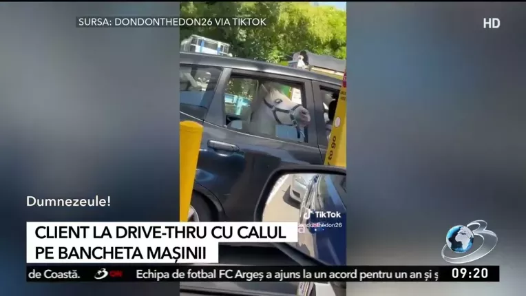 Client la drive-thru cu un cal pe bancheta masinii
