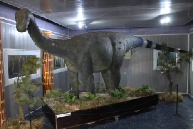 Expozitia ULTIMII DINOZAURI DIN TRANSILVANIA, la Muzeul Dunarii de Jos din Calarasi, pana pe 20 Mai 2017