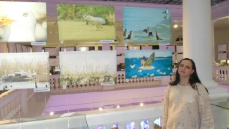 Expozitie de fotografie Wildlife Romania 2016, la Muzeul Grigore Antipa