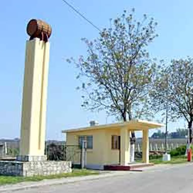 Marele Murfatlar face vin, dar nu-si plateste apa