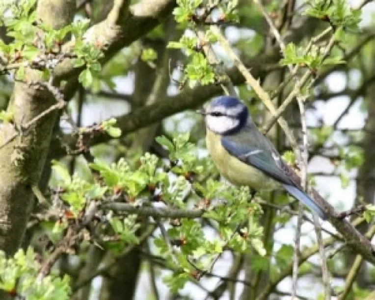 Prognoza meteo pentru luna aprilie 2013