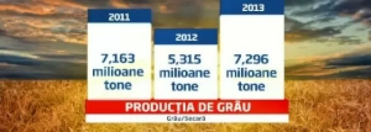 Recolta record la grau, de 7,3 milioane de tone, da batai de cap fermierilor care nu au silozuri 