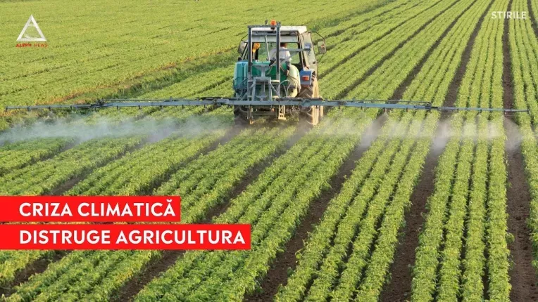 Recoltele agricole sunt afectate de incalzirea globala
