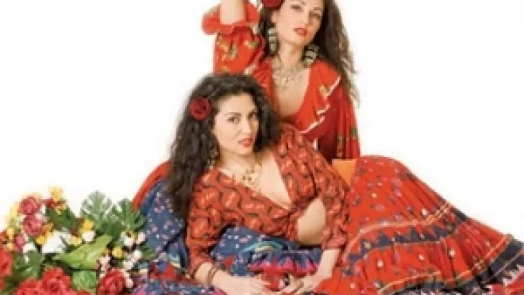 Sorin Rosca Stanescu ii propune presedintelui Sarkozy solutii pentru rezolvarea situatiei tiganilor