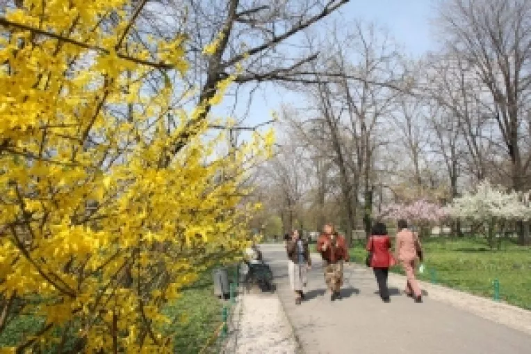 Temperaturi de pana la 18 grade, in luna martie